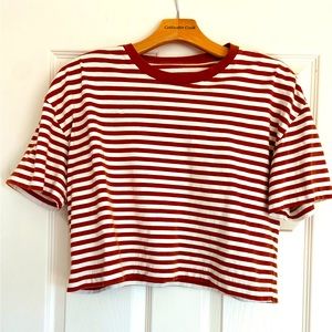 Everlane striped crop T